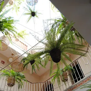 Pensjonat Cordoba, Sewilla