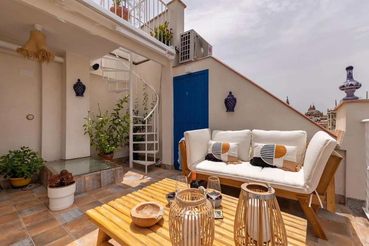 Ohliving Alfalfa Square Seville