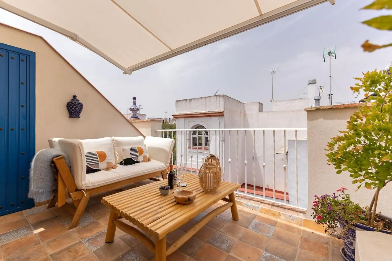 Ohliving Alfalfa Square Seville