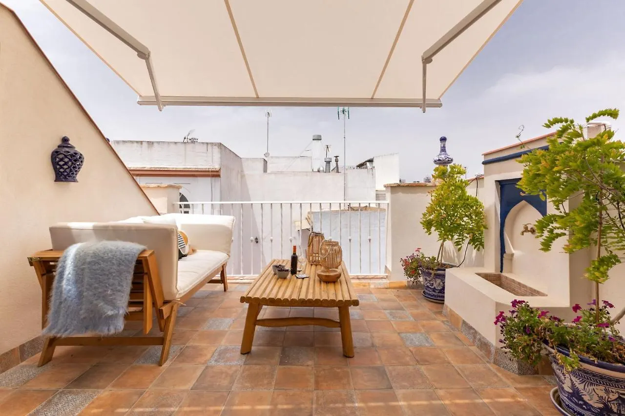 Ohliving Alfalfa Square Seville 0*,