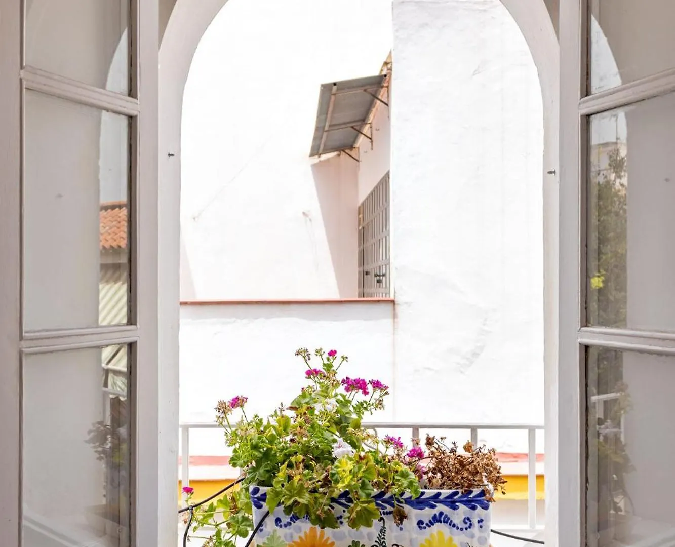 Ohliving Alfalfa Square Seville